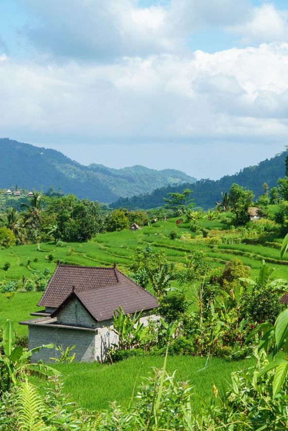 Bali
