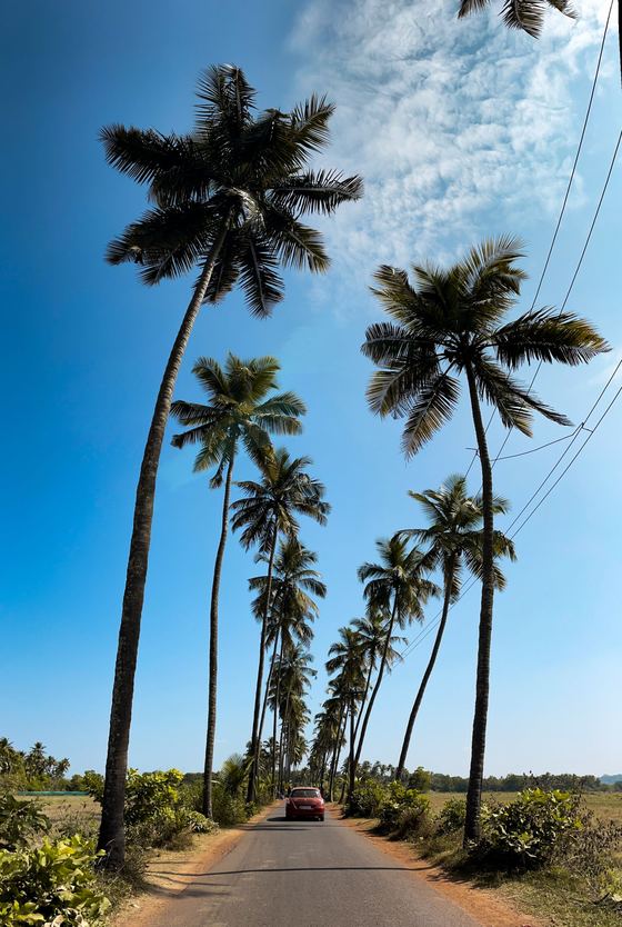 Goa
