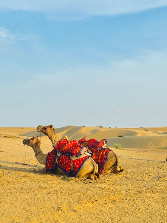 Rajasthan
